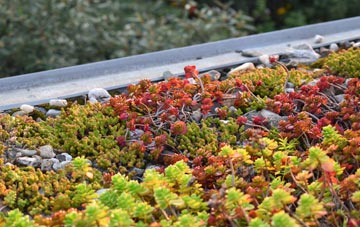 the cost of Bullenhill green roof installation