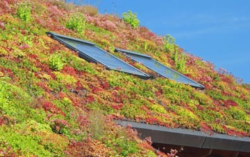 Bullenhill living roof systems