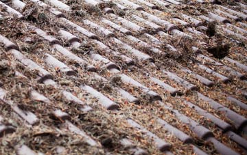 Bullenhill roof cleaning companies